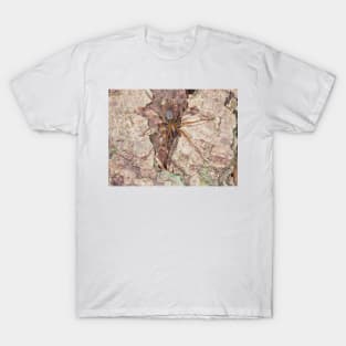 Callobius pictus or similar hacklemesh weaver spider T-Shirt